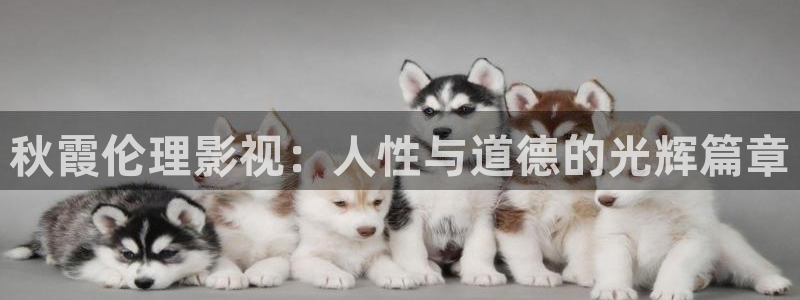 人人在线观看视频