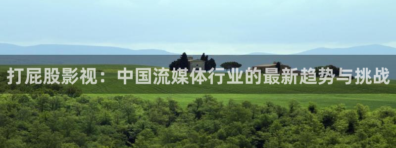 人人爱综合视频：打屁股影视：中国流媒体行业的最新趋势与挑战