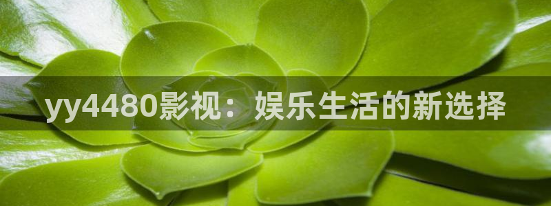 人人搞导航福利视频：yy4480影视：娱乐生活的新选择