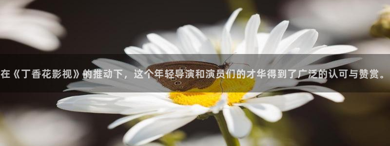 人人干人人了操在线视频：在《丁香花影视》的推动下，这个年轻导演和演员们的才华得到了广泛的认可与赞赏。